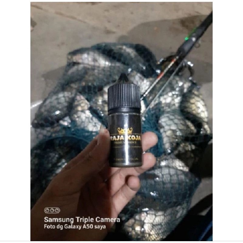 ESSEN IKAN RAJA KOJA SANG RAJA ESSEN KUALITAS PREMIUM - GARUT