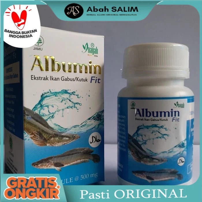 Ekstrak ikan gabus [ori100%] Ekstrak Ikan Gabus 60 kapsul Albumin Fit menyembuhkan sehabis oprasi