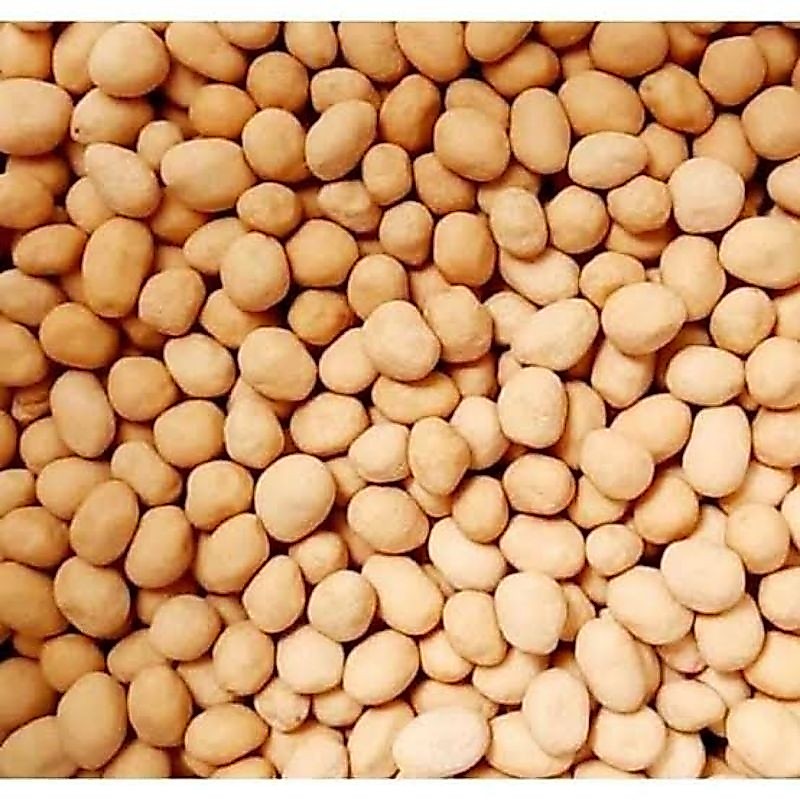 Kacang Atom merk Satelit Palapa