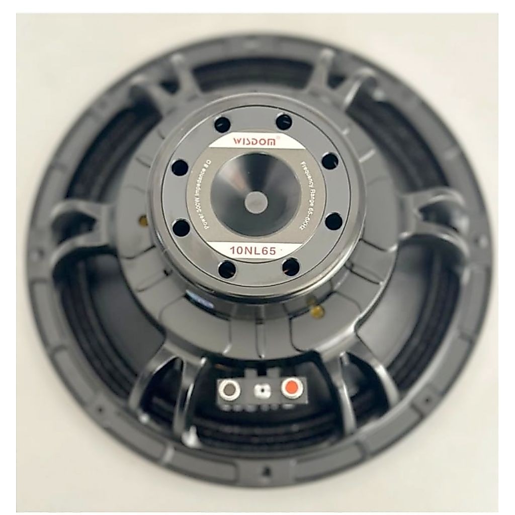 Speaker 10in Wisdom Neo 10NL65. Wisdom 10NL65
