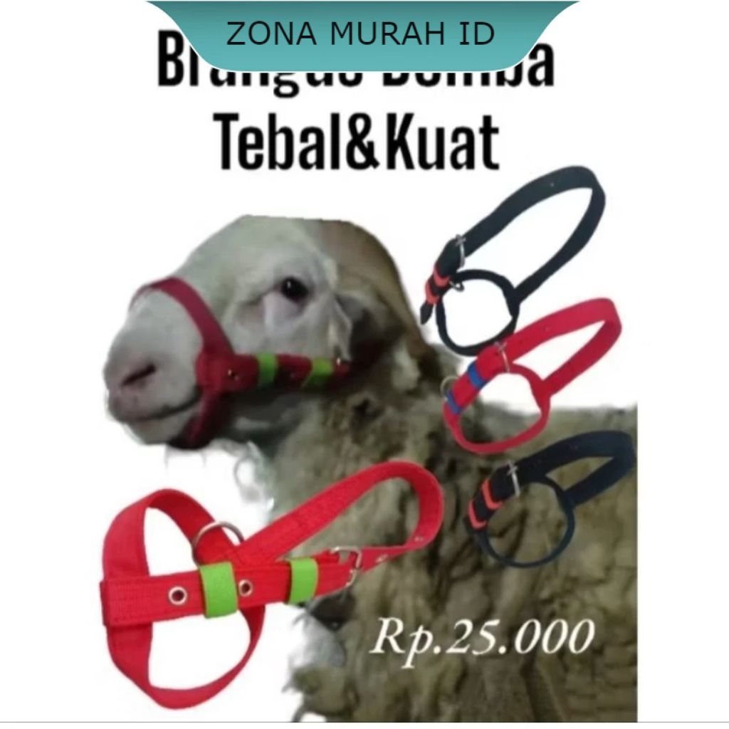 ZM Head Halter Brangus Domba Kambing Kualitas Bagus