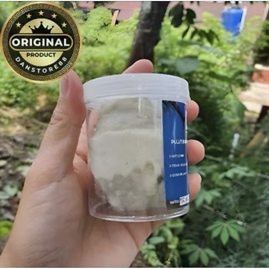 COD Pulut Burung Super Lengket 100% Siap Pakai Anti Zonk, Pulut DL ORIGINAL