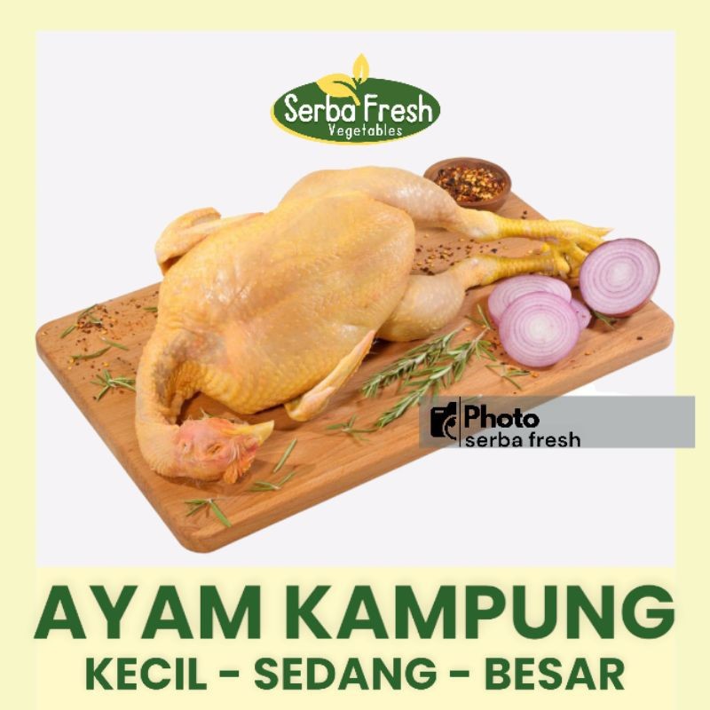 

AYAM KAMPUNG | 1 EKOR | SERBA FRESH