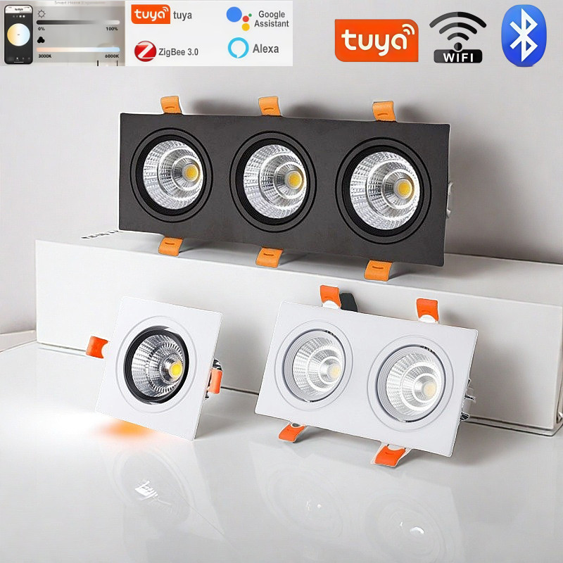 Intelligent Tuya downlight 2.4G remote control ceiling light LED spot light embedded sky lantern liv