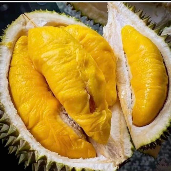 

DURIAN BAWOR UTUH MANIS CRIMY / BUAH DURIAN BAWOR BULAT 3,5 kg