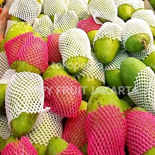 

Mangga Dokmai thailand 1 kg