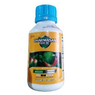 Dharmasan 600ec 500ml obat hama dan tikus sawah