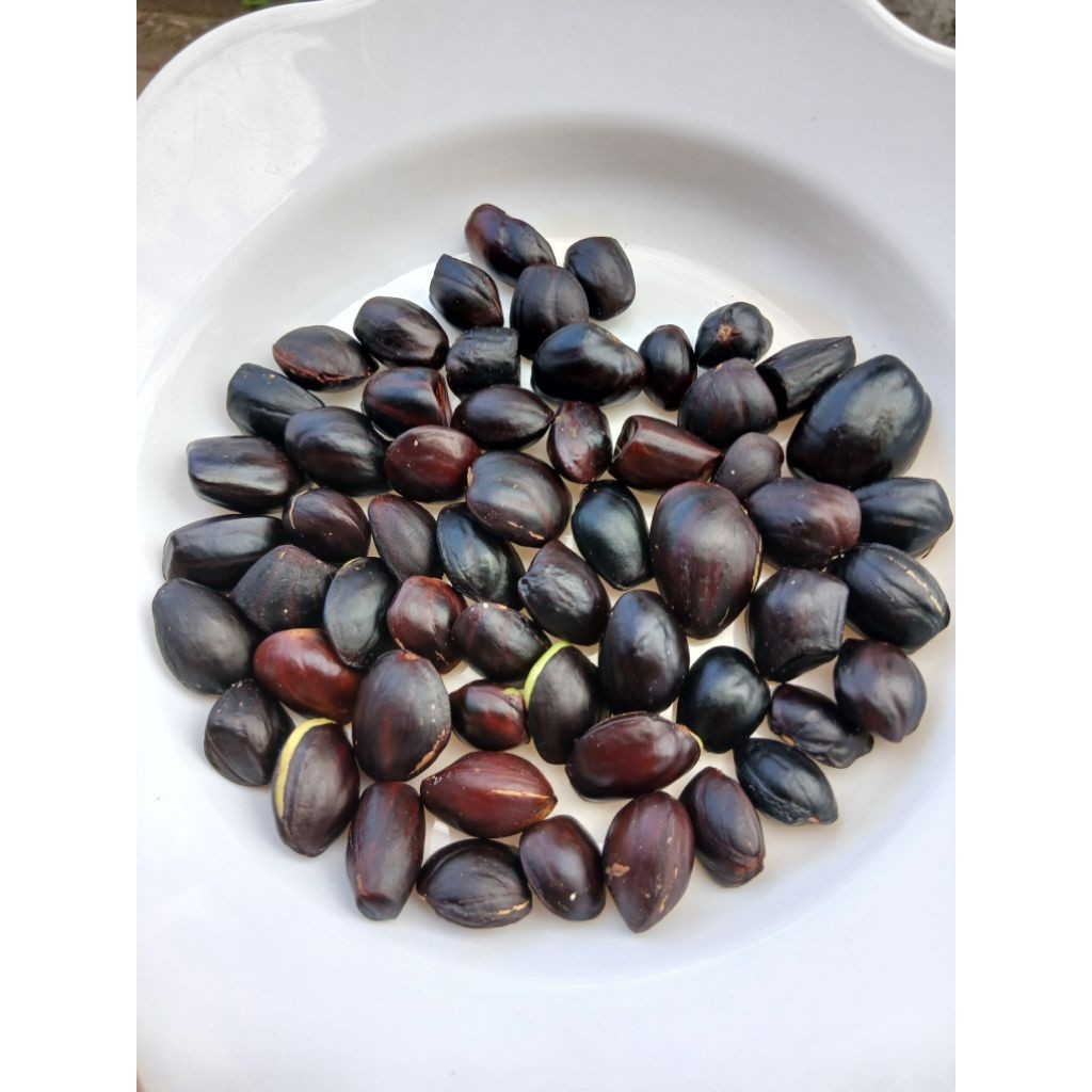 500GR KABAU KIKIM JOLANG JALING /KABAU ASLI