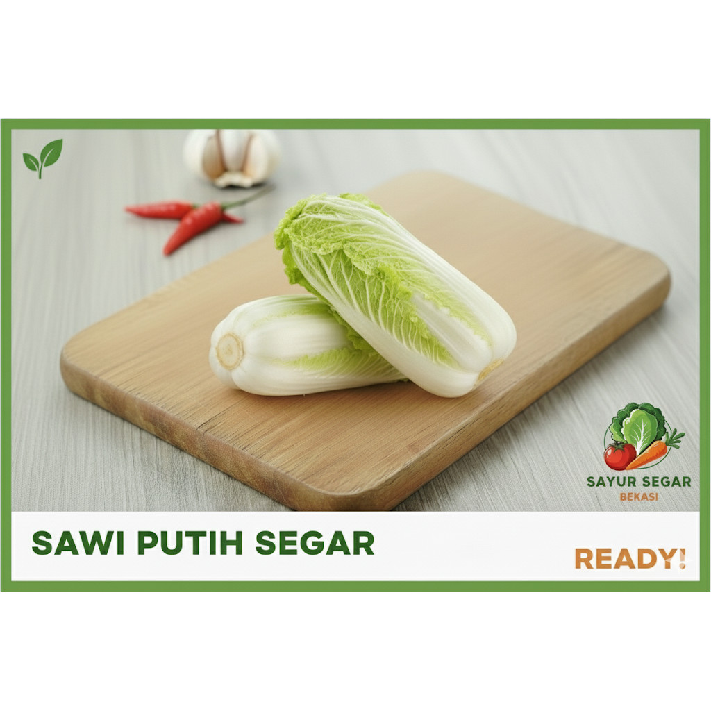 Sawi Putih Segar Sawi Putih Murah