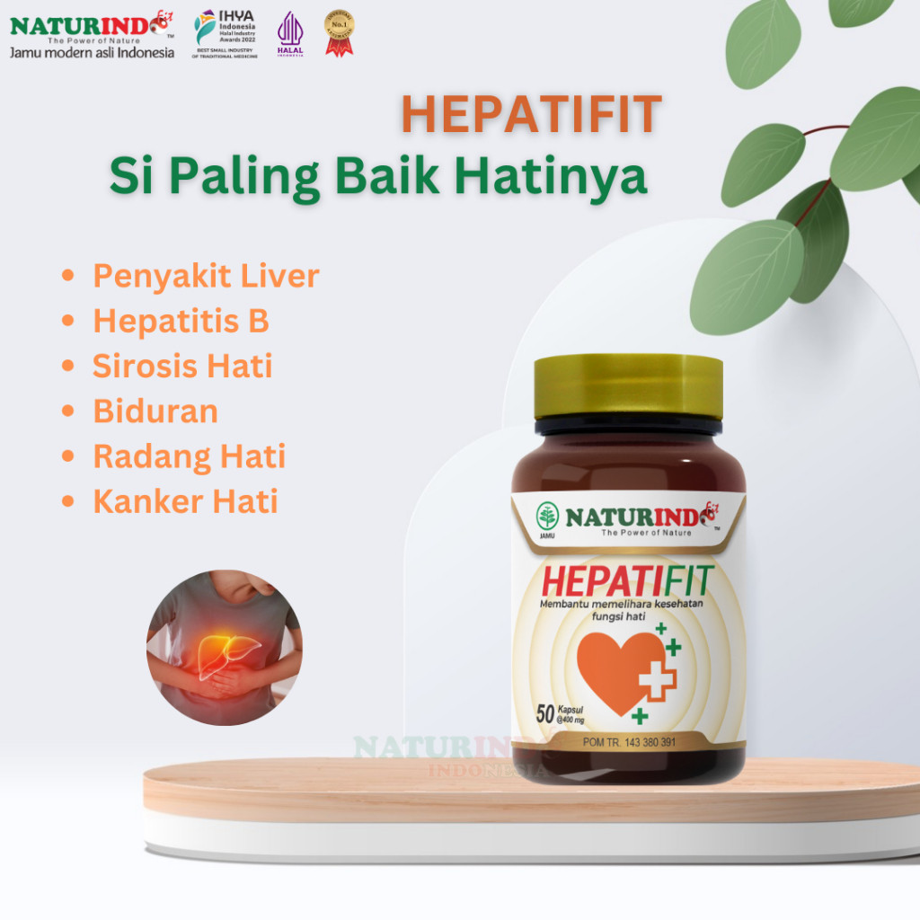

Hepatifit (Herbal untuk Kesehatan Liver)