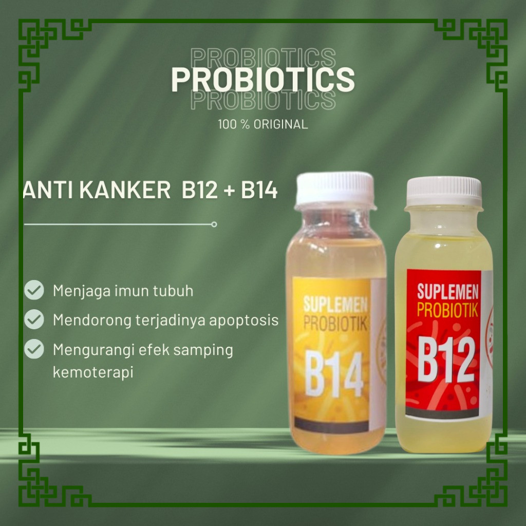 Probiotik B12 & B14 Prof Sukardi, Kurangi Efek Samping Kemoterapi, Membuat Apoptosis pada Sel Kanker