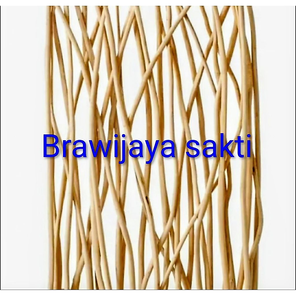 ranting kayu jati