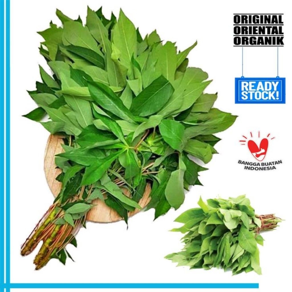 

DAUN UBI JALAR PER IKAT GODONG TELO RAMBAT SAYUR SAYURAN SEGAR / FRESH VEGETABLES / VEGETABLE