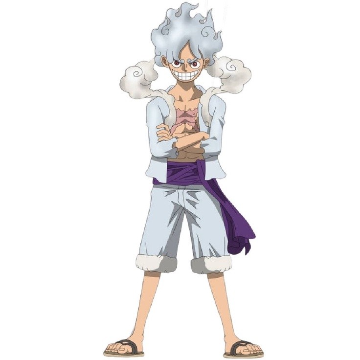 Kostum Luffy Gear 5 Putih + Topi Anime One Piece Bayi Anak dan Dewasa Kostum Anime Kostum One Piece 