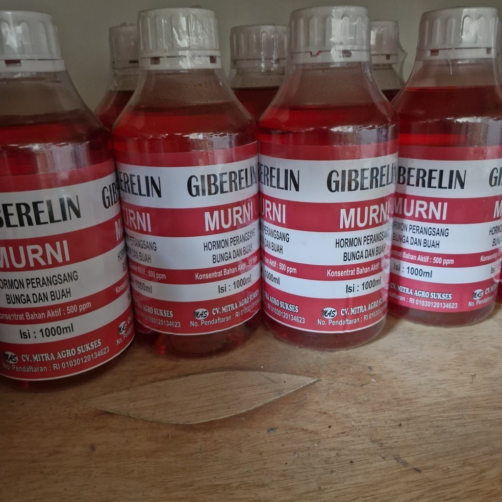 Hormon Giberelin Cair 1 Liter 500 ppm Untuk Pembungaan & Pembesaran Buah
