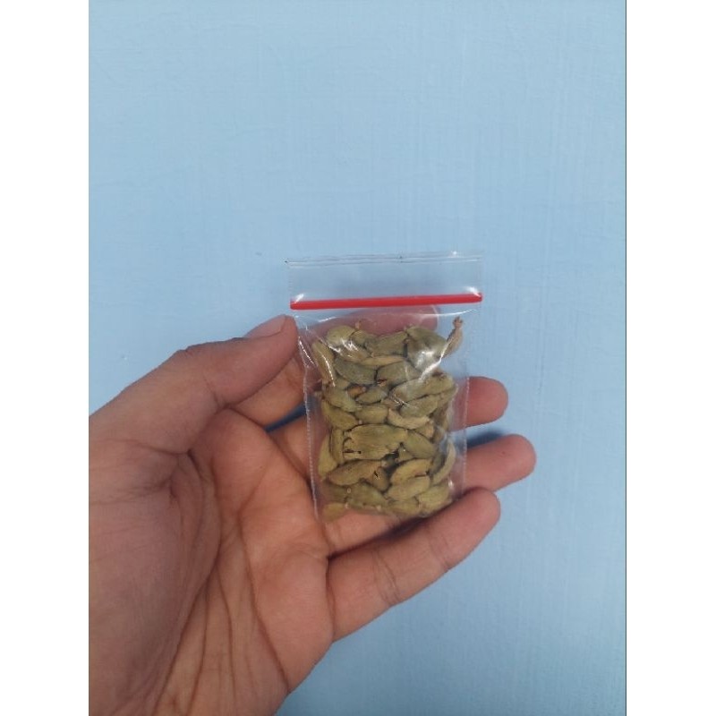 

Kapulaga India / Hijau