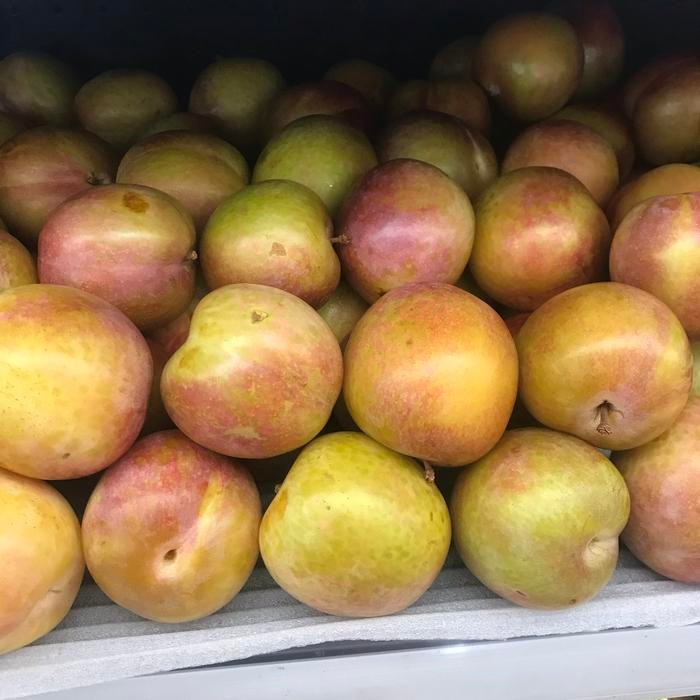 

Plum red sun oktober manis 1 kg