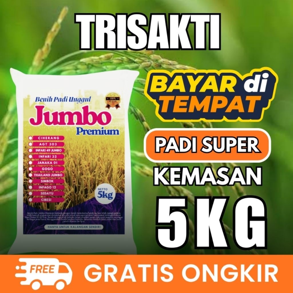 Benih Padi Genjah Padi Unggul Padi Trisakti Usia Panen 70 Hst Kemasan 5kg