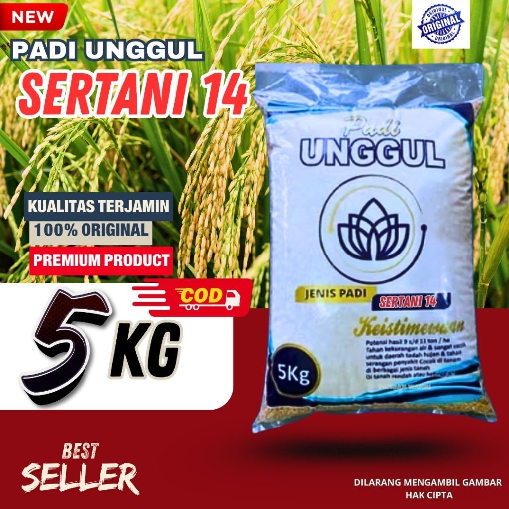 WOLDANSHOP PADI UNGGUL SERTANI 14 PADI UNGGUL BERKUALITAS PREMIUM KUALITAS TERBAIK KEMASAN 5KG