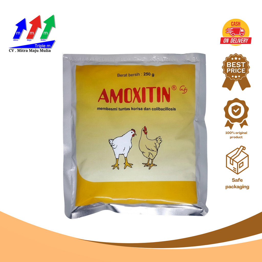 Amoxitin 250 gram MEDION obat korisa
