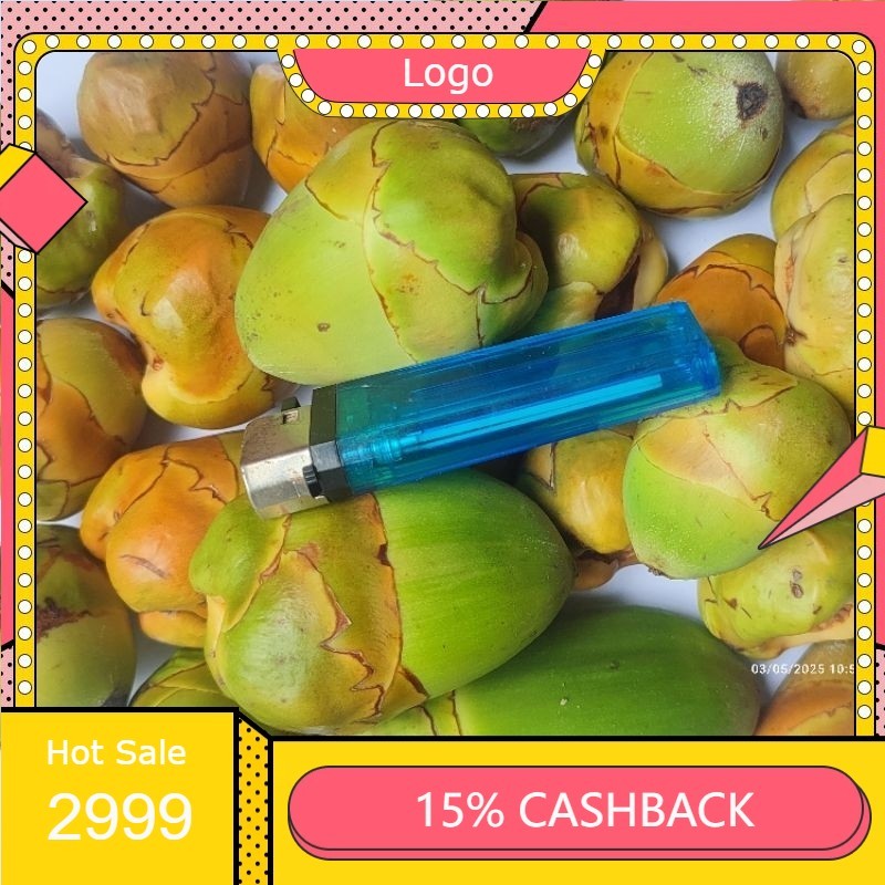 

Paket 1Kg Bluluk Pentil Kelapa Muda Kecil Fresh Bluruk Tembuluk Obat Herbal Jamu Diabetes Cengkir Beluluk Segar