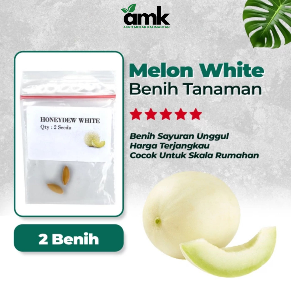Benih Bibit MELON HONEYDEW PUTIH Manis - Agro Mekar Kalimantan