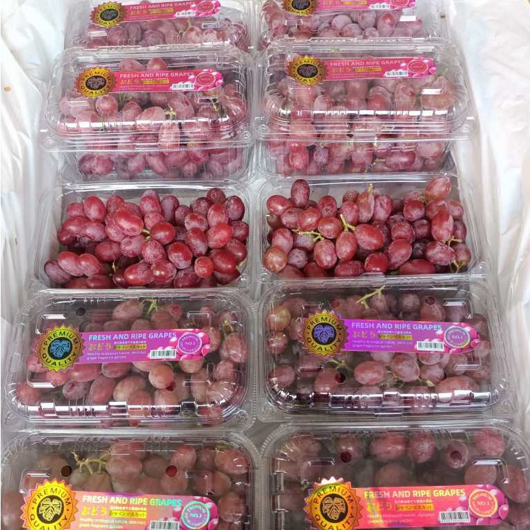 

ANGGUR CRIMSON MERAH TANPA BIJI