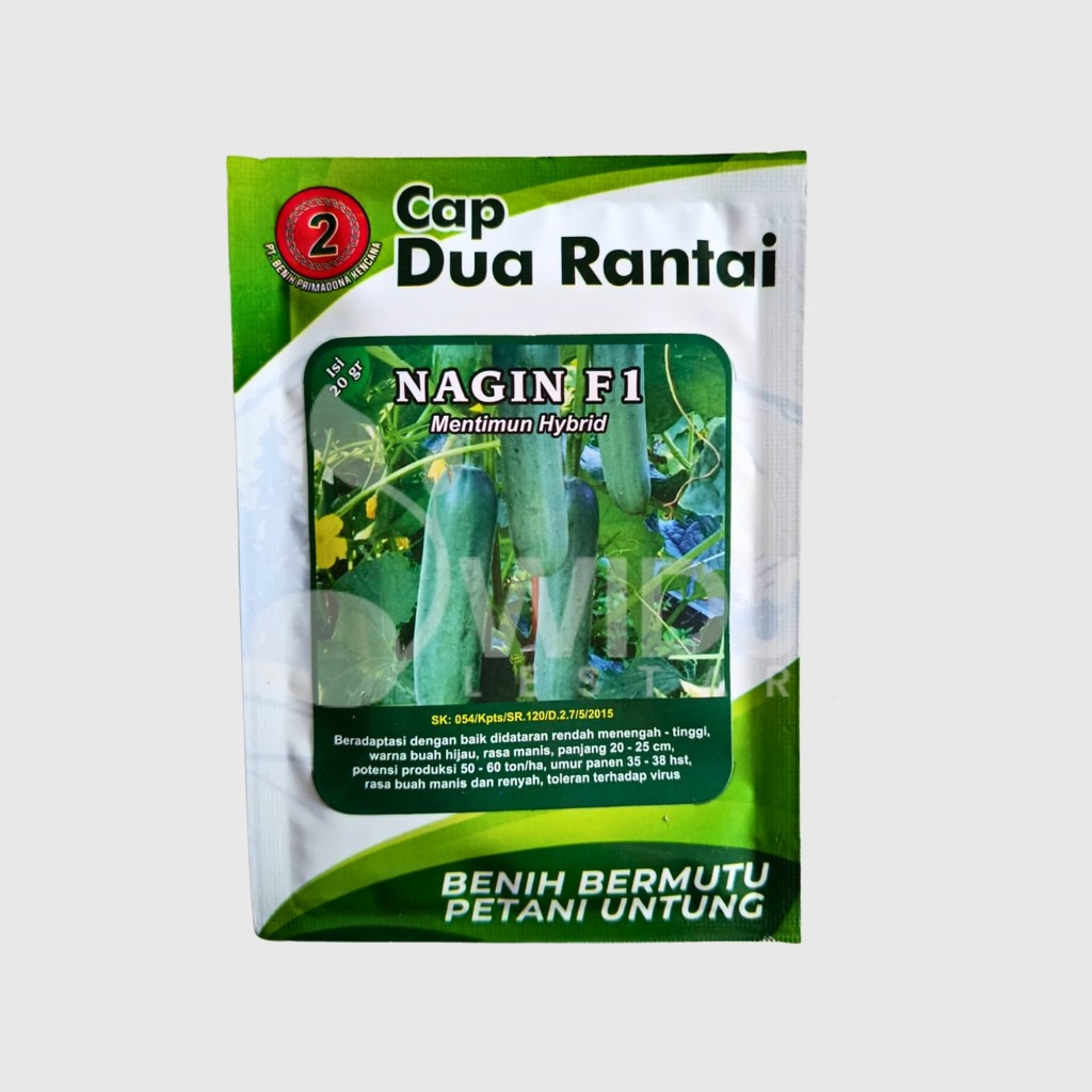 Benih Timun Nagin F1 Timun Hijau Hibrida Kemasan 20gr Original Pabrik