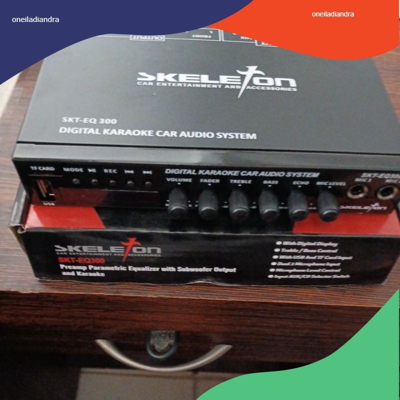Pre amp mobil Skeleton + USB karaoke + BT
