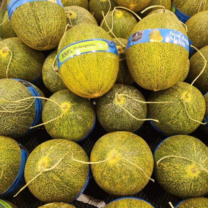 

Melon sun augusta hydroponik / melon manis / pcs