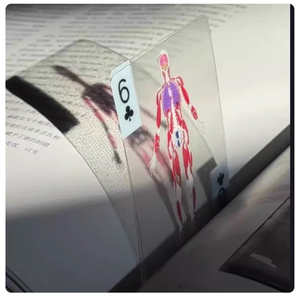 Body Deck Playing Cards Interesting Human Anatomy Playing Cards Playing Cards Card Game Entertainmen