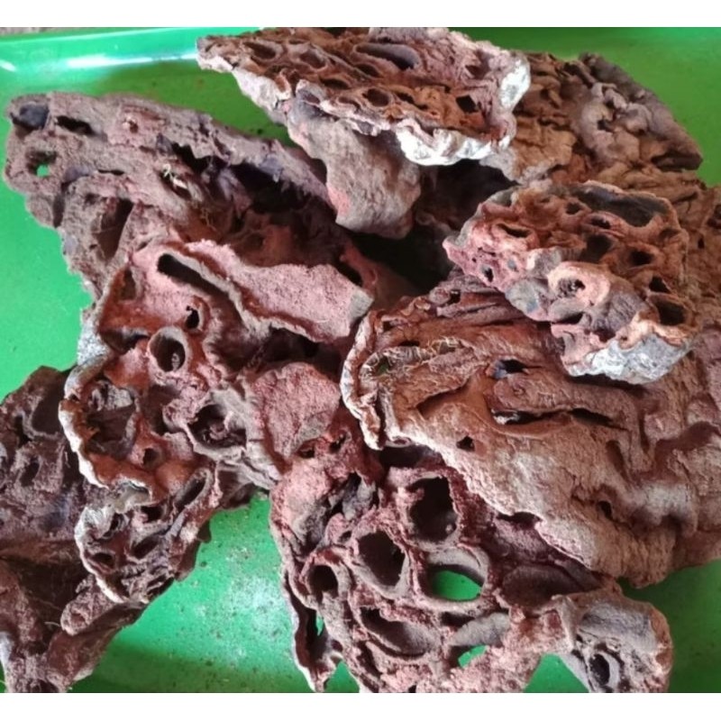 Sarang Semut kering Papua Asli 100 gram-1 kg/sarang semut merah KERING