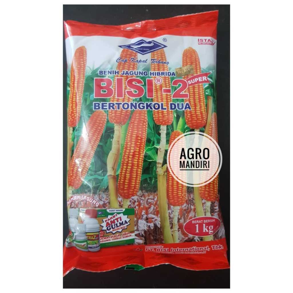 Bibit Jagung BISI 2 Super 1 Kilogram Jagung Manis Tongkol 2 Isi +- 4000 Butir Benih Surabaya