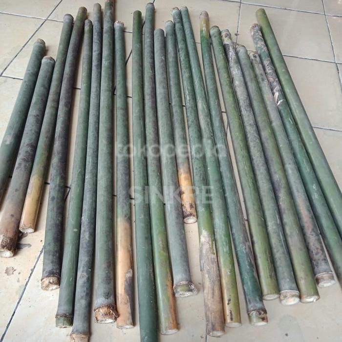 free ongkir bambu tamiang suling bahan buat suling