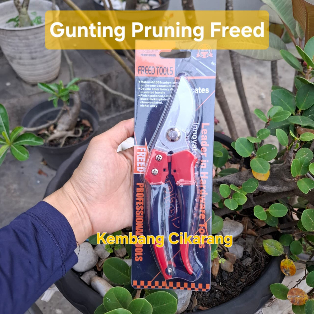 (1pc) GUNTING  PRUNING FREED : gunting ranting dahan gunting bonsai bagus murah