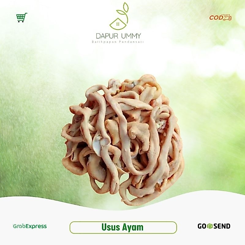 USUS AYAM • Usus Ayam Segar