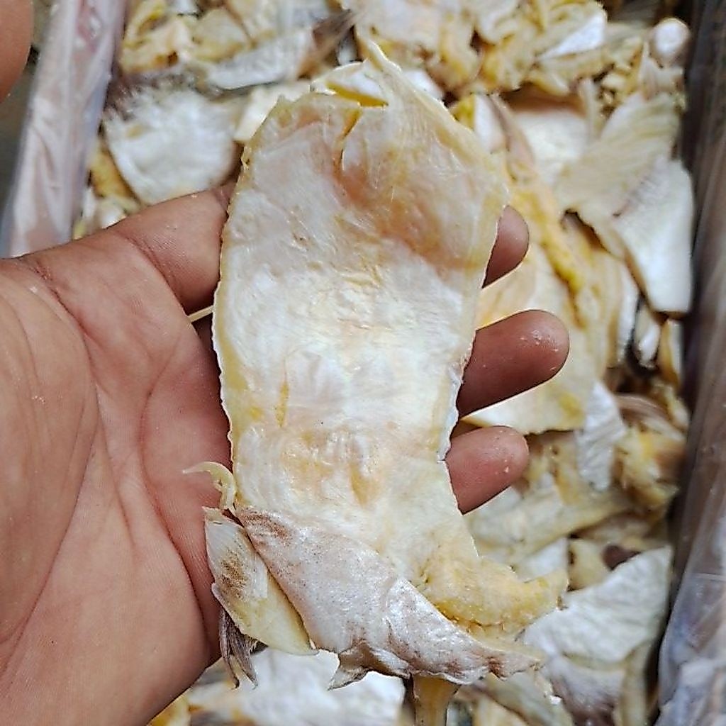 ikan asin PERUT PATIN grade A 500 gram
