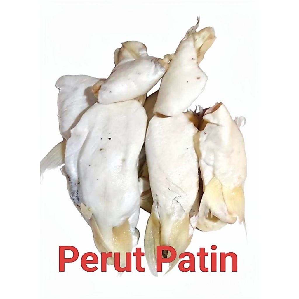ASIN IKAN PATIN