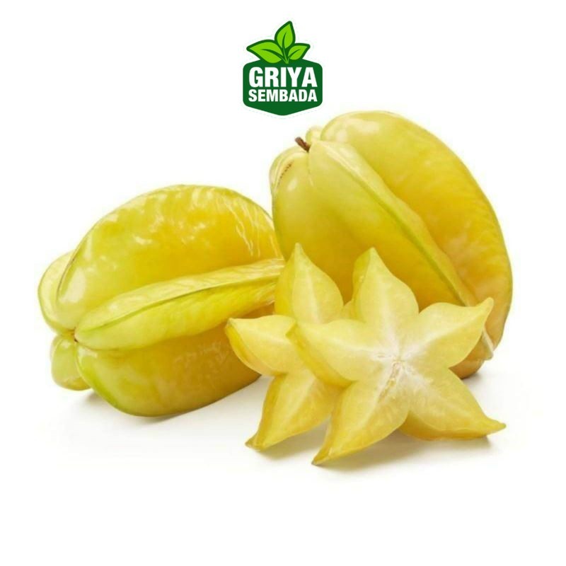 

Instant Buah belimbing fresh, belimbing segar, buah belimbing Griya Sembada/ Semarang Griya Sembada