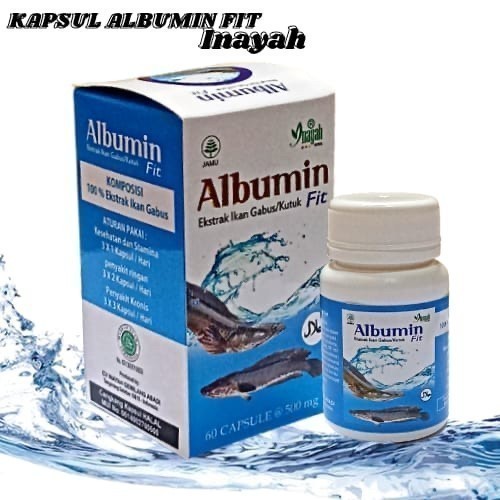ALBUMIN FIT Kapsul Ekstrak Ikan Gabus Obat Penyembuhan Pasca Operasi isi 60 kapsul ori