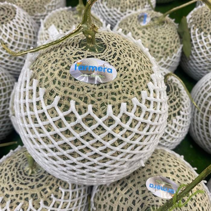 

PREMIUM MELON WAKATOBI / MELON ORANGE HYDROPONIC WAKATOBI/ MELON HYDRO