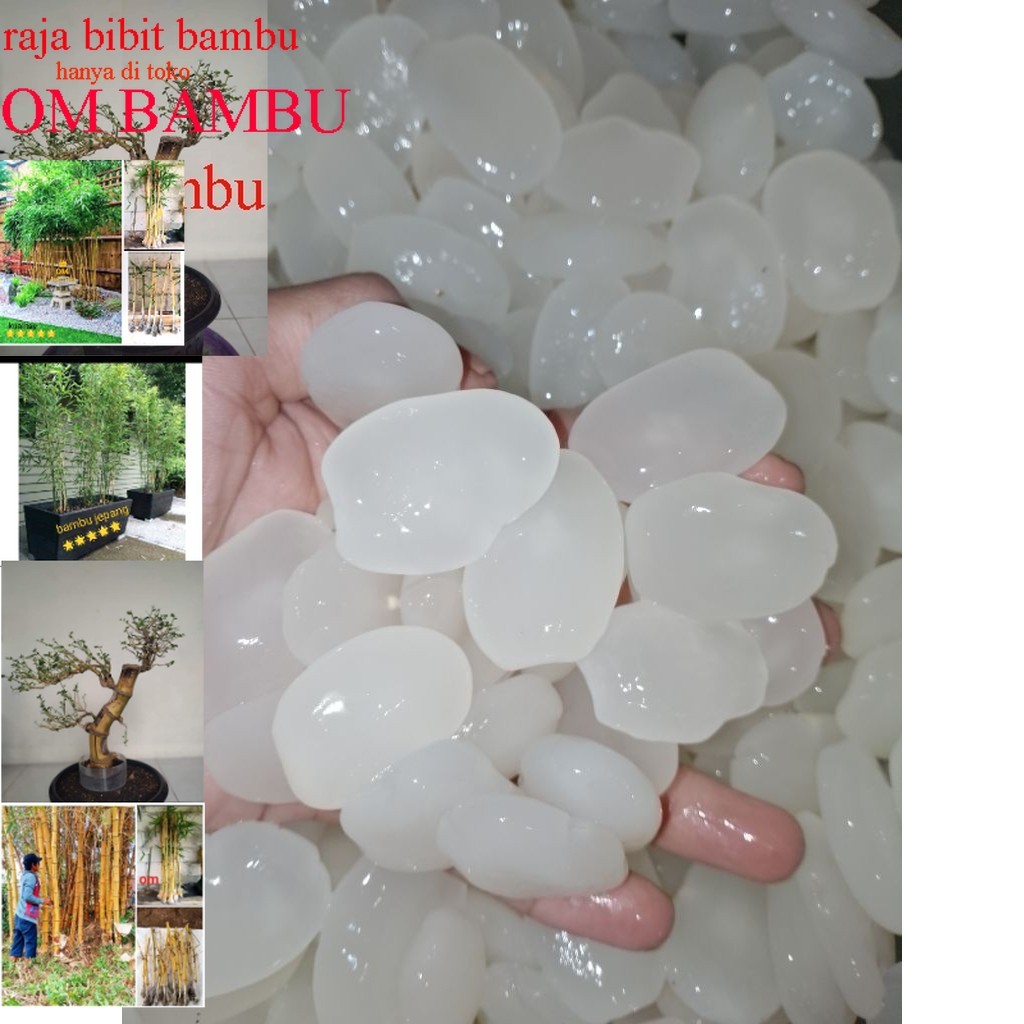 

kolang Kaling super promo 1kg buat manisan, sirup, minuman manis promo siap kirim besellr