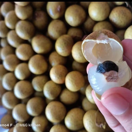 

1 kg Lengkeng Bangkok Manis dan Fresh