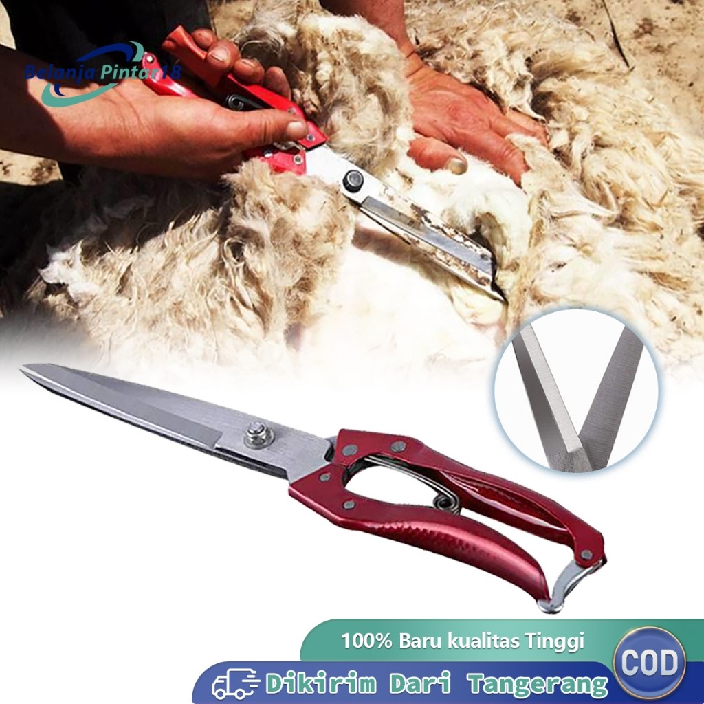 30cm Gunting Cukur Domba Wool Scissor Alat Cukur Kambing Domba Gunting Bulu Domba Manual Multifungsi