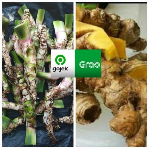 paket delingo bangle 100 gram segar bahan sambetan atau tolak bala delingo bengle dlingo bengle satu