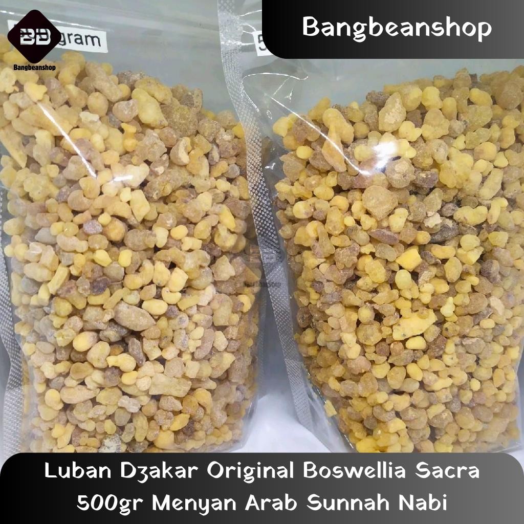 Luban Dzakar Original Boswellia Sacra 500gr Menyan Arab Sunnah Nabi