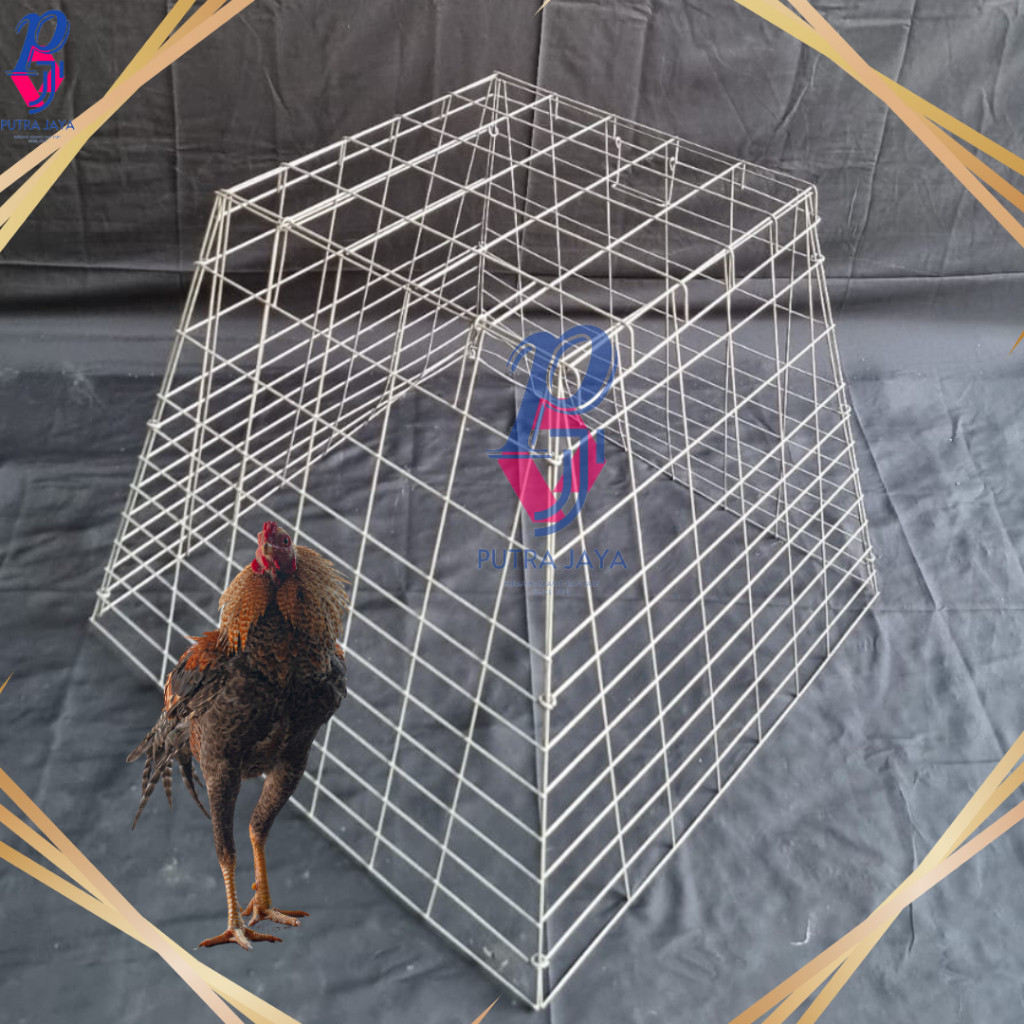 Kandang Ayam / Kurungan Ayam Bahan Galvanis Bentuk PIRAMID / TRAPESIUM