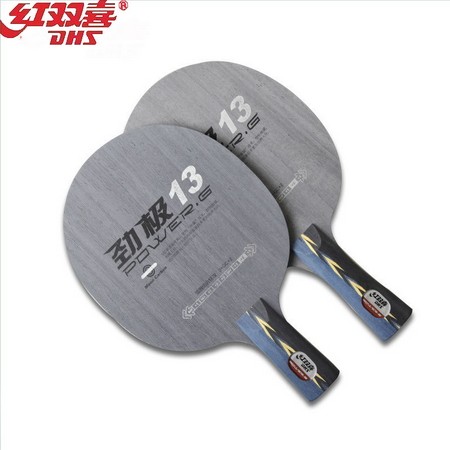 DHS POWER G13 Table tennis racket