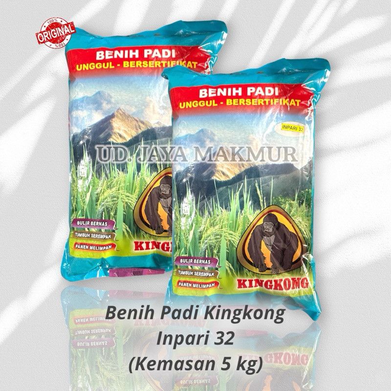 Benih Padi Kingkong Inpari 32 Premium Unggul Jumbo 5kg #JM#