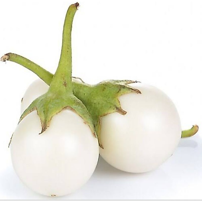 Terong Lalap Putih / Terong Intalu / Terong Hintalu / Berat 250 gram